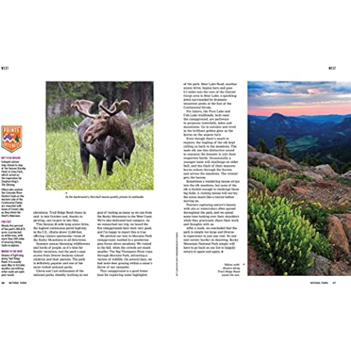 Great American Road Trips- National Parks: Discover insider tips, must see stops - The Hungry Bookworm & Speedmerchant65