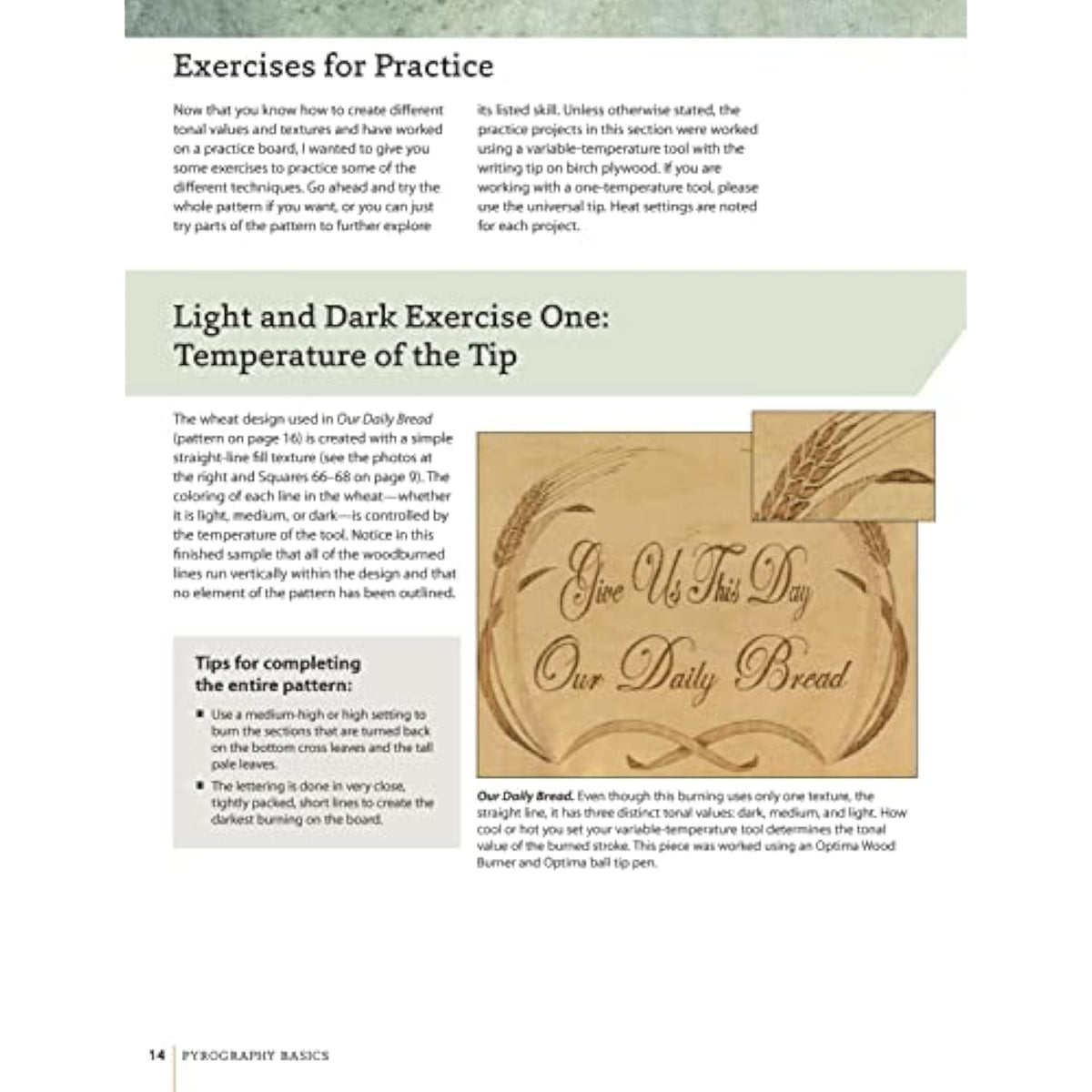 Pyrography Basics: Techniques and Exercises for Beginners (Design Originals) Patterns for Woodburning with Skill-Building Step-by-Step Instructions and Advice from Lora Irish on Texture and Layering - The Hungry Bookworm & Speedmerchant65