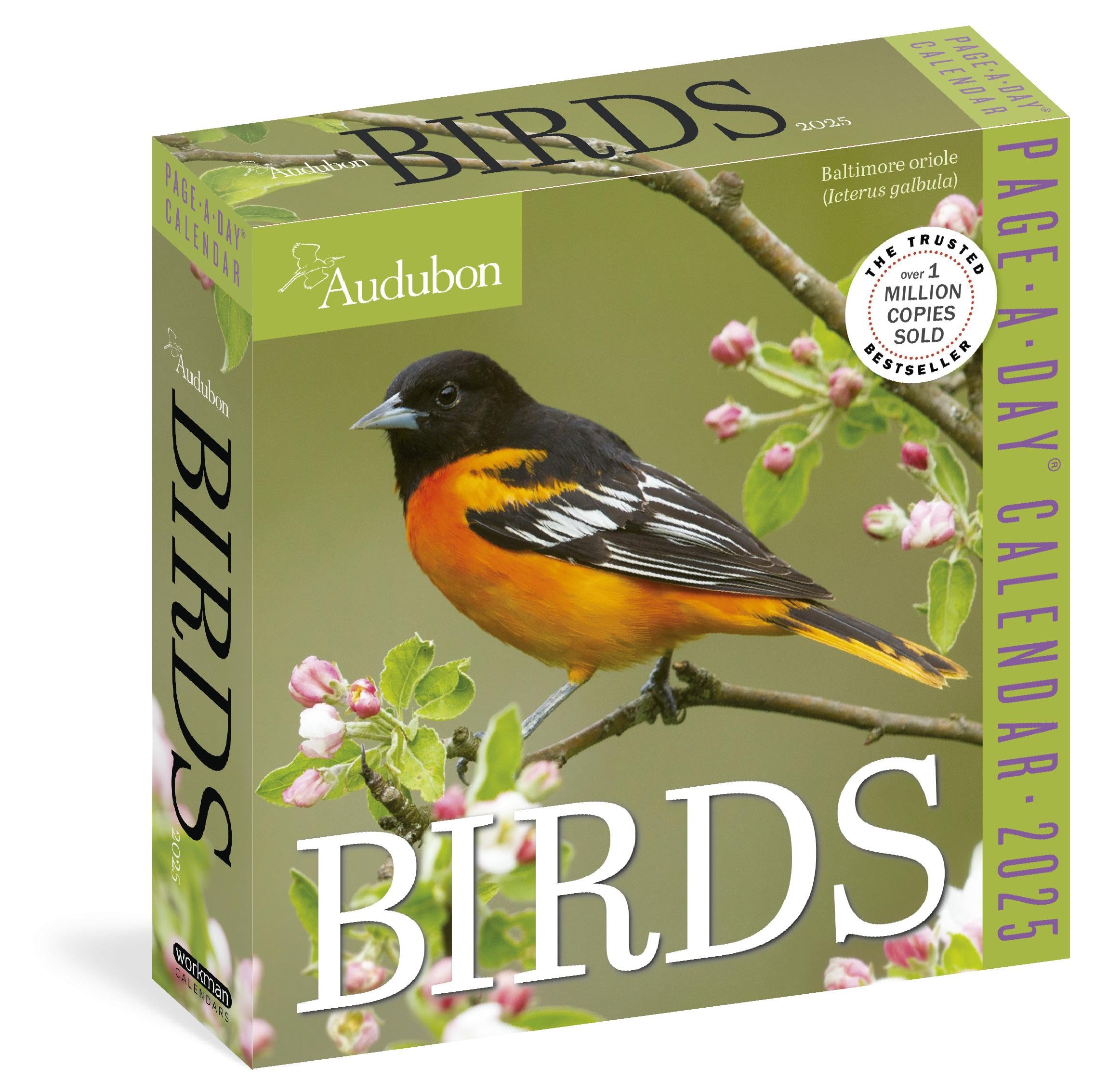 Audubon Birds PageADay® Calendar 2025 The World's Favorite Bird