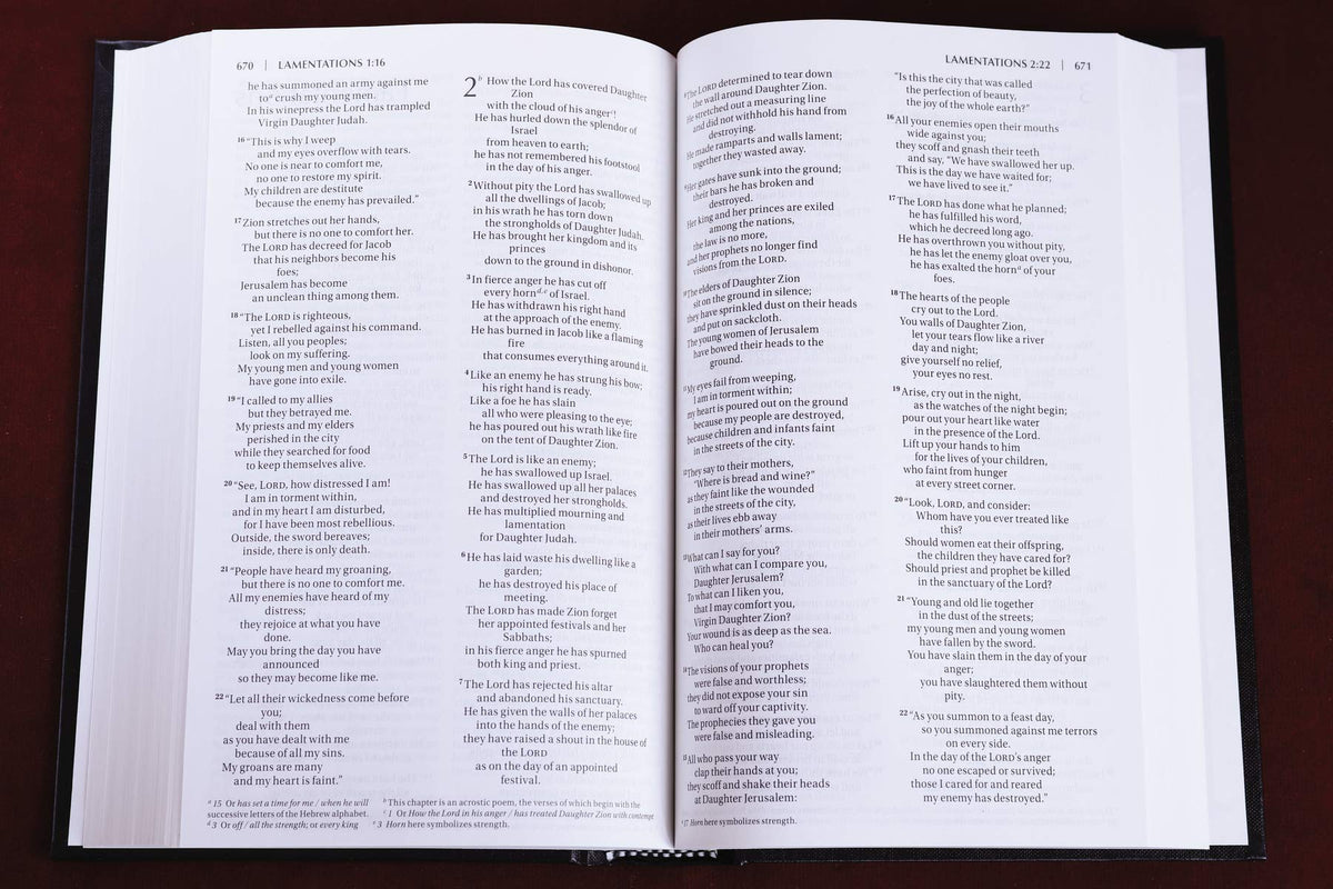 NIV, Value Pew and Worship Bible, Hardcover, Black - The Hungry Bookworm & Speedmerchant65