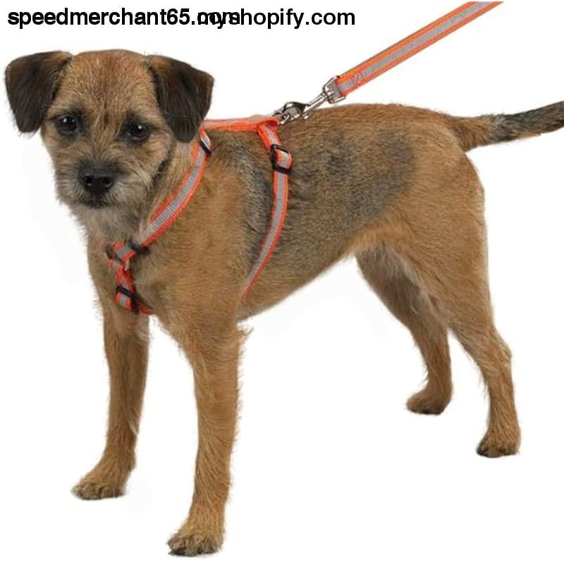 Guardian Gear Nylon Reflective Dog Harness 14-20-Inch Orange