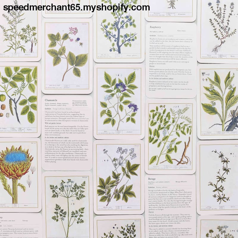 Healing Plants: 50 botanical cards illustrated