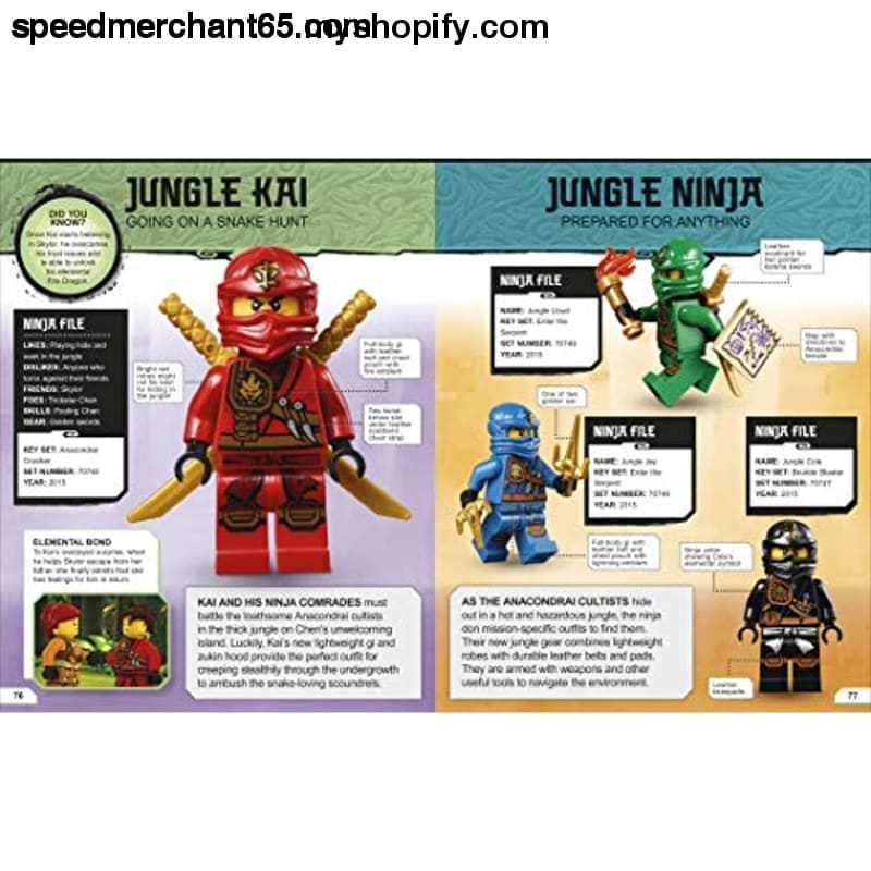 LEGO NINJAGO Character Encyclopedia New Edition: (Library