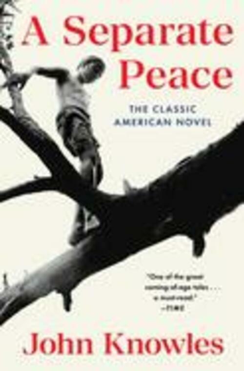 A Separate Peace - The Hungry Bookworm & Speedmerchant65
