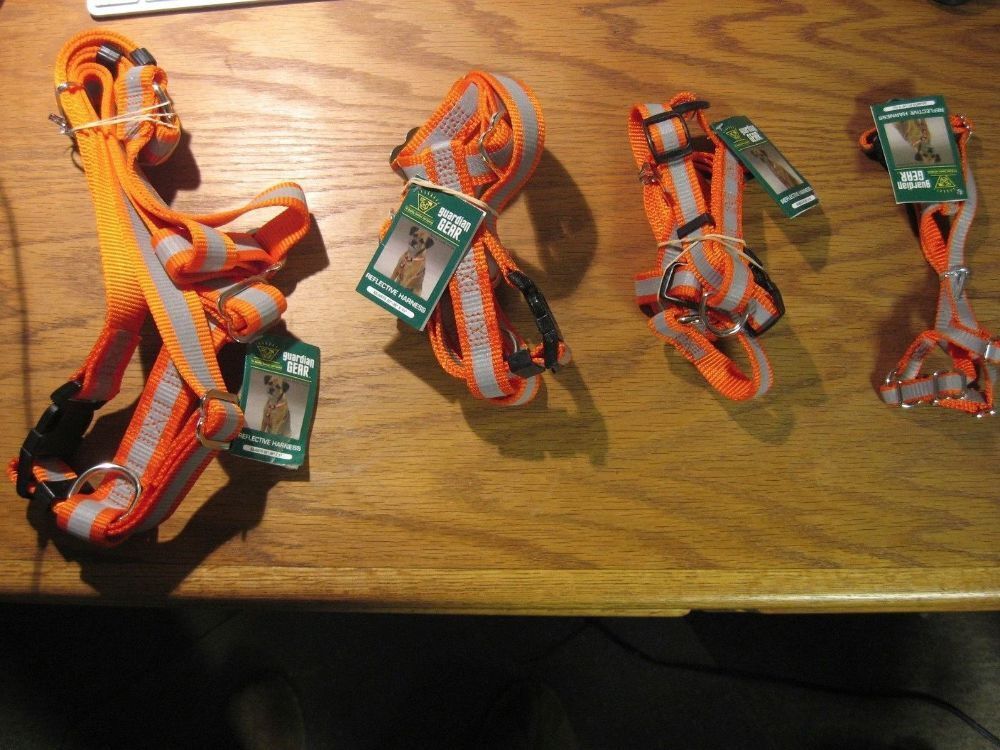 Guardian Gear Reflective Harness Blaze Orange   - The Hungry Bookworm & Speedmerchant65