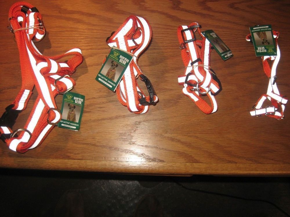 Guardian Gear Reflective Harness Blaze Orange   - The Hungry Bookworm & Speedmerchant65