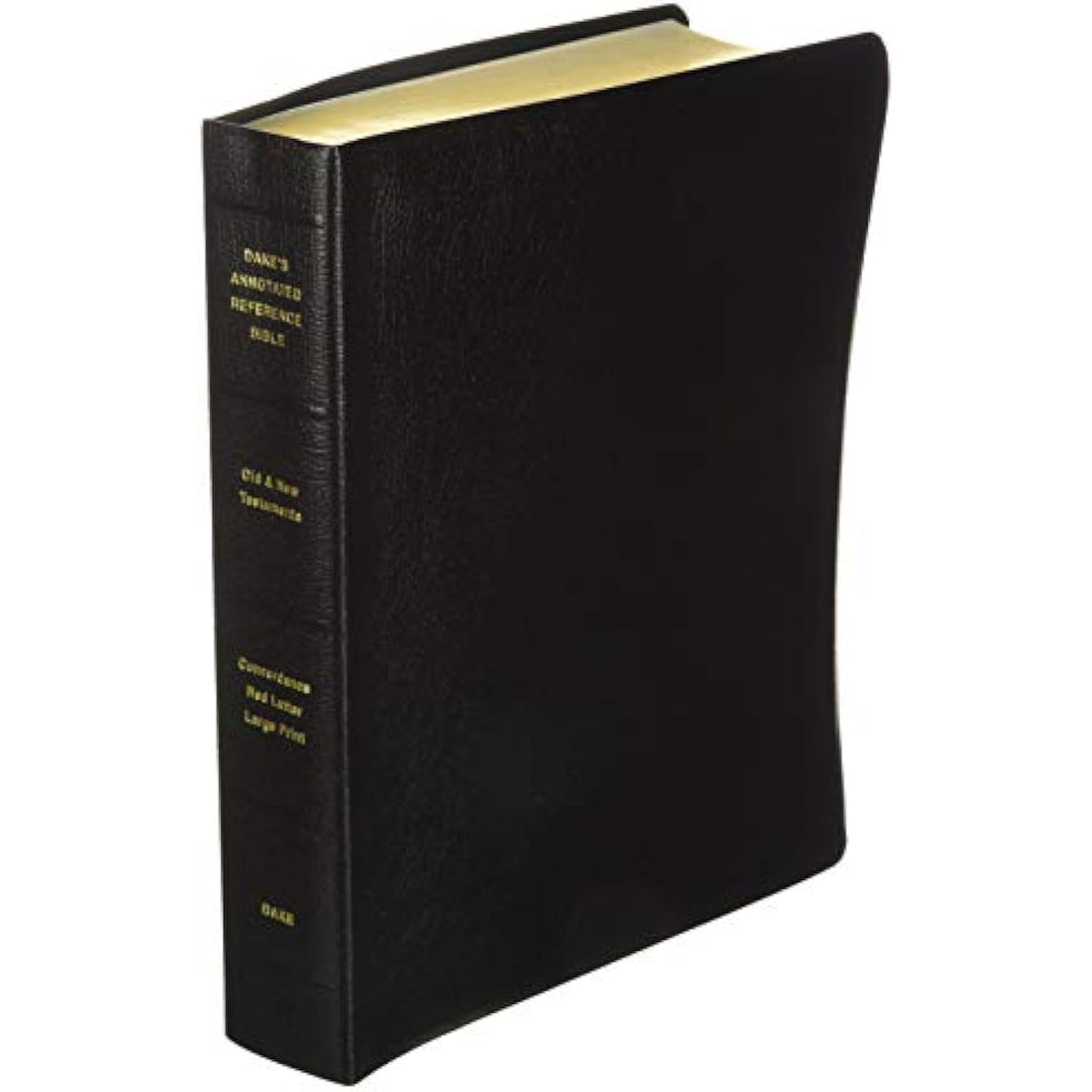 Dake Annotated Reference Bible-KJV-Large Print - The Hungry Bookworm & Speedmerchant65