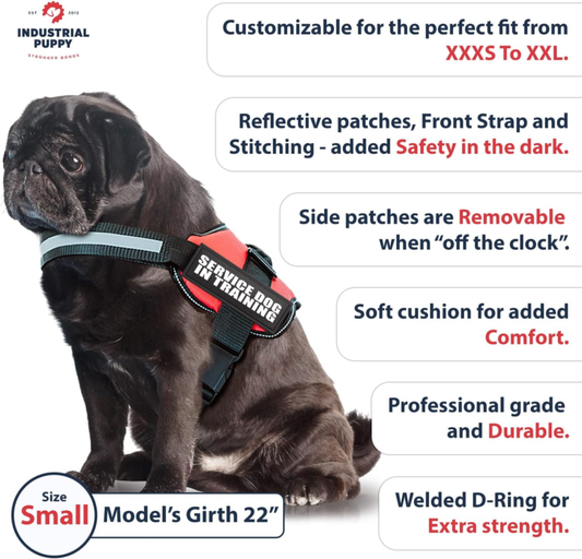 Professional title: ``` Service Dog in Training Vest with Hook and Loop Straps - Speedmerchant65 / The Hungry Bookworm / Fireside Books