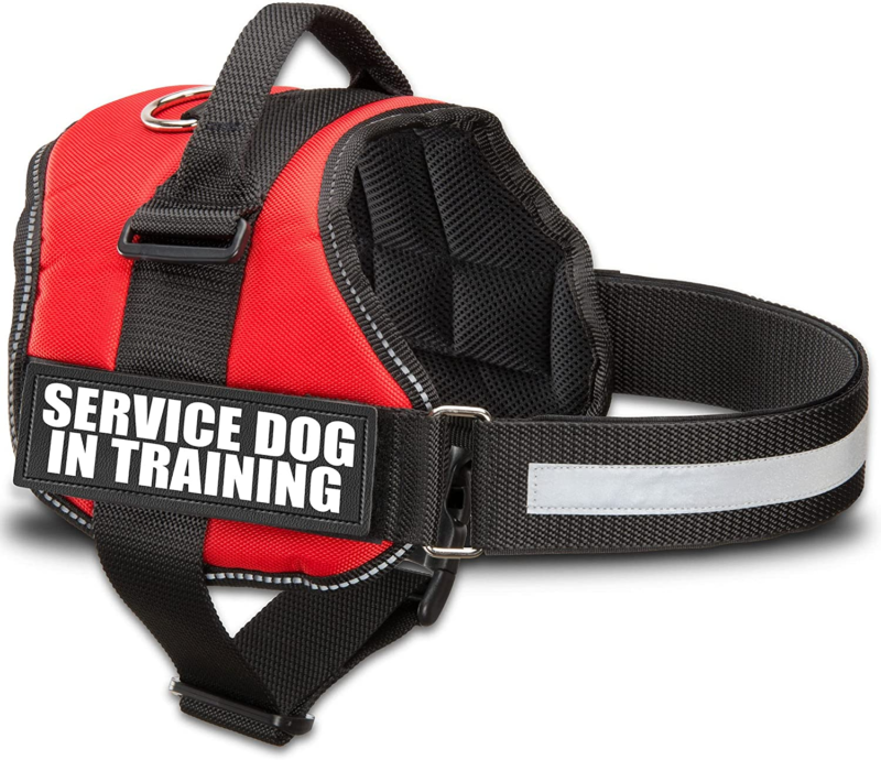 Professional title: ``` Service Dog in Training Vest with Hook and Loop Straps - Speedmerchant65 / The Hungry Bookworm / Fireside Books