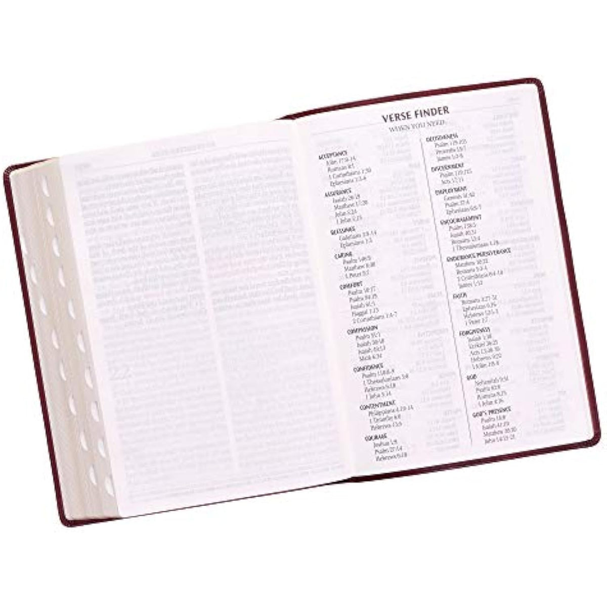 KJV Holy Bible, Super Giant Print Faux Leather Red Letter Edition - Thumb Index - The Hungry Bookworm & Speedmerchant65