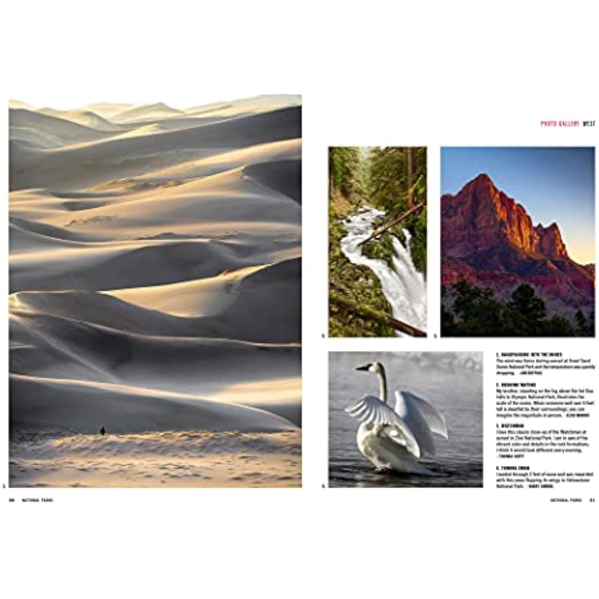 Great American Road Trips- National Parks: Discover insider tips, must see stops - The Hungry Bookworm & Speedmerchant65