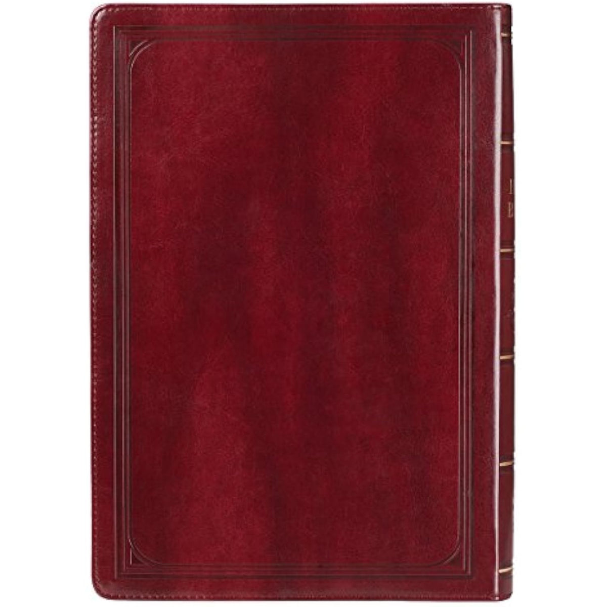 KJV Holy Bible, Super Giant Print Faux Leather Red Letter Edition - Thumb Index - The Hungry Bookworm & Speedmerchant65