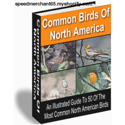 50 Common Birds Of North America - ebook