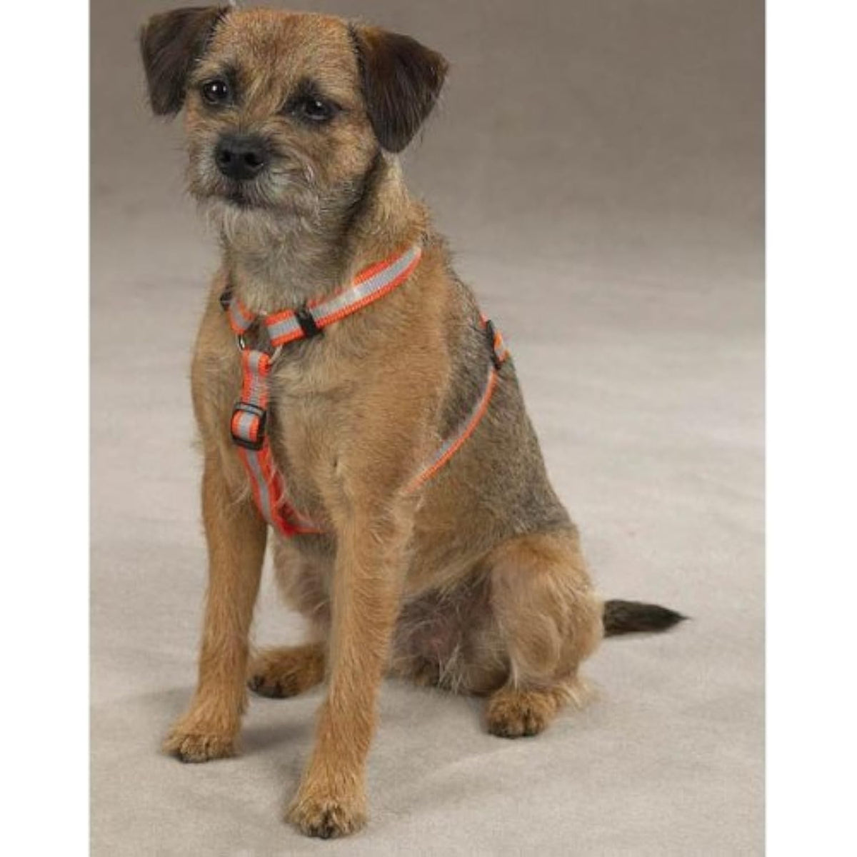 Guardian Gear Nylon Reflective Dog Harness, 14-20-Inch, Orange - The Hungry Bookworm & Speedmerchant65