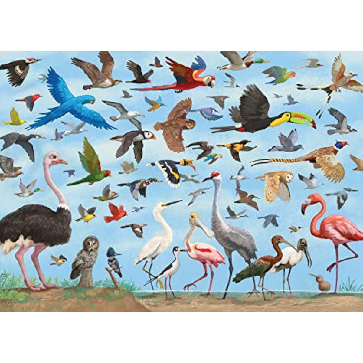 All The Birds 1000 Piece Jigsaw Puzzle - The Hungry Bookworm & Speedmerchant65