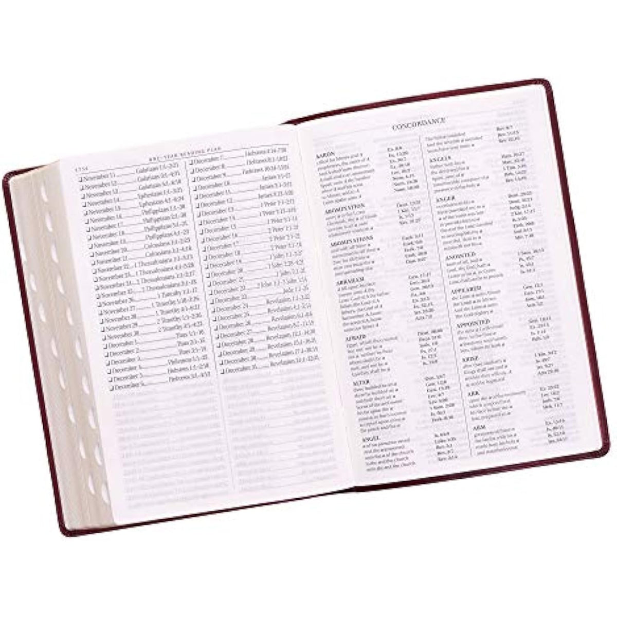 KJV Holy Bible, Super Giant Print Faux Leather Red Letter Edition - Thumb Index - The Hungry Bookworm & Speedmerchant65