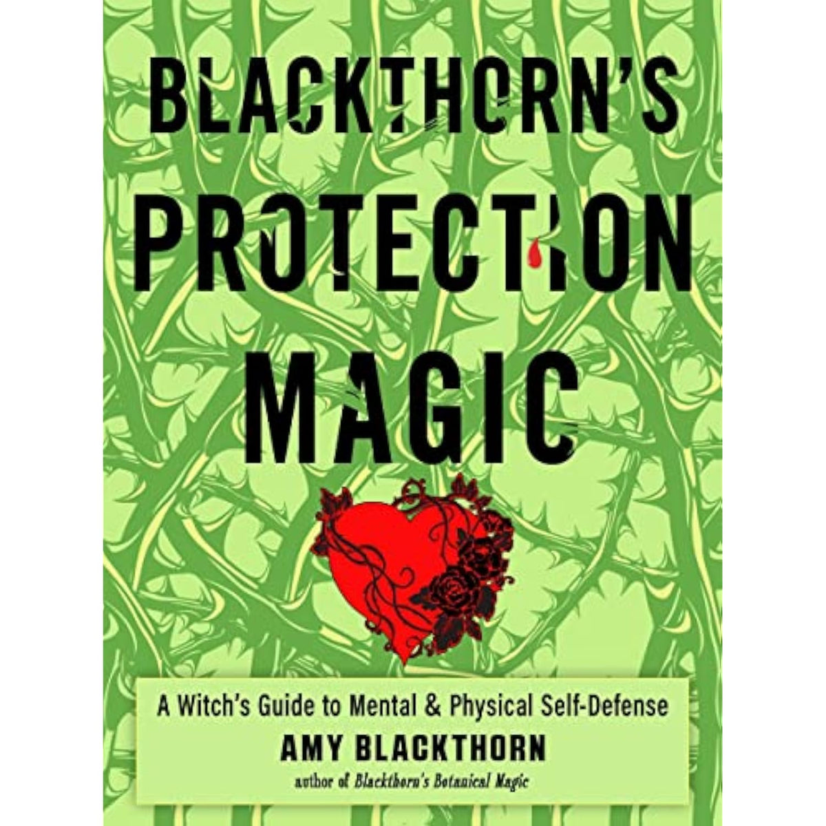 Blackthorn's Protection Magic: A Witch’s Guide to Mental and Physical - The Hungry Bookworm & Speedmerchant65