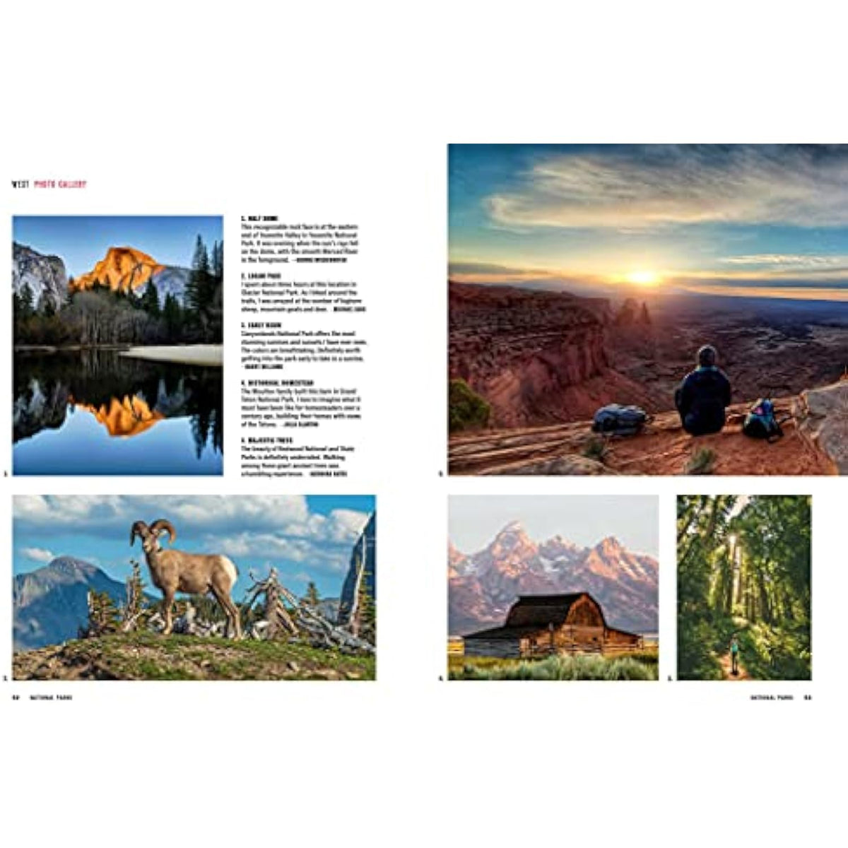 Great American Road Trips- National Parks: Discover insider tips, must see stops - The Hungry Bookworm & Speedmerchant65