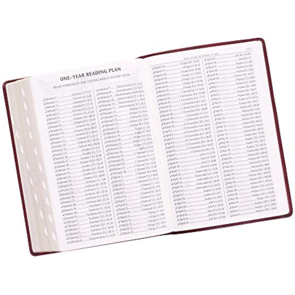KJV Holy Bible, Super Giant Print Faux Leather Red Letter Edition - Thumb Index - The Hungry Bookworm & Speedmerchant65