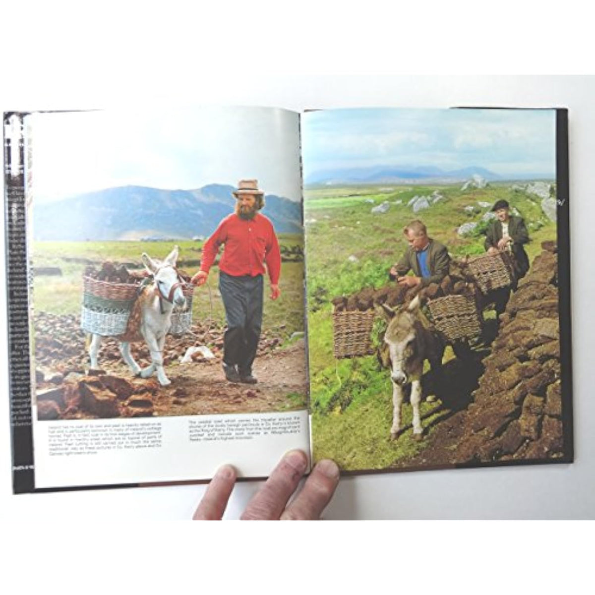 Ireland: A Picture Book to Remember Her By - The Hungry Bookworm & Speedmerchant65
