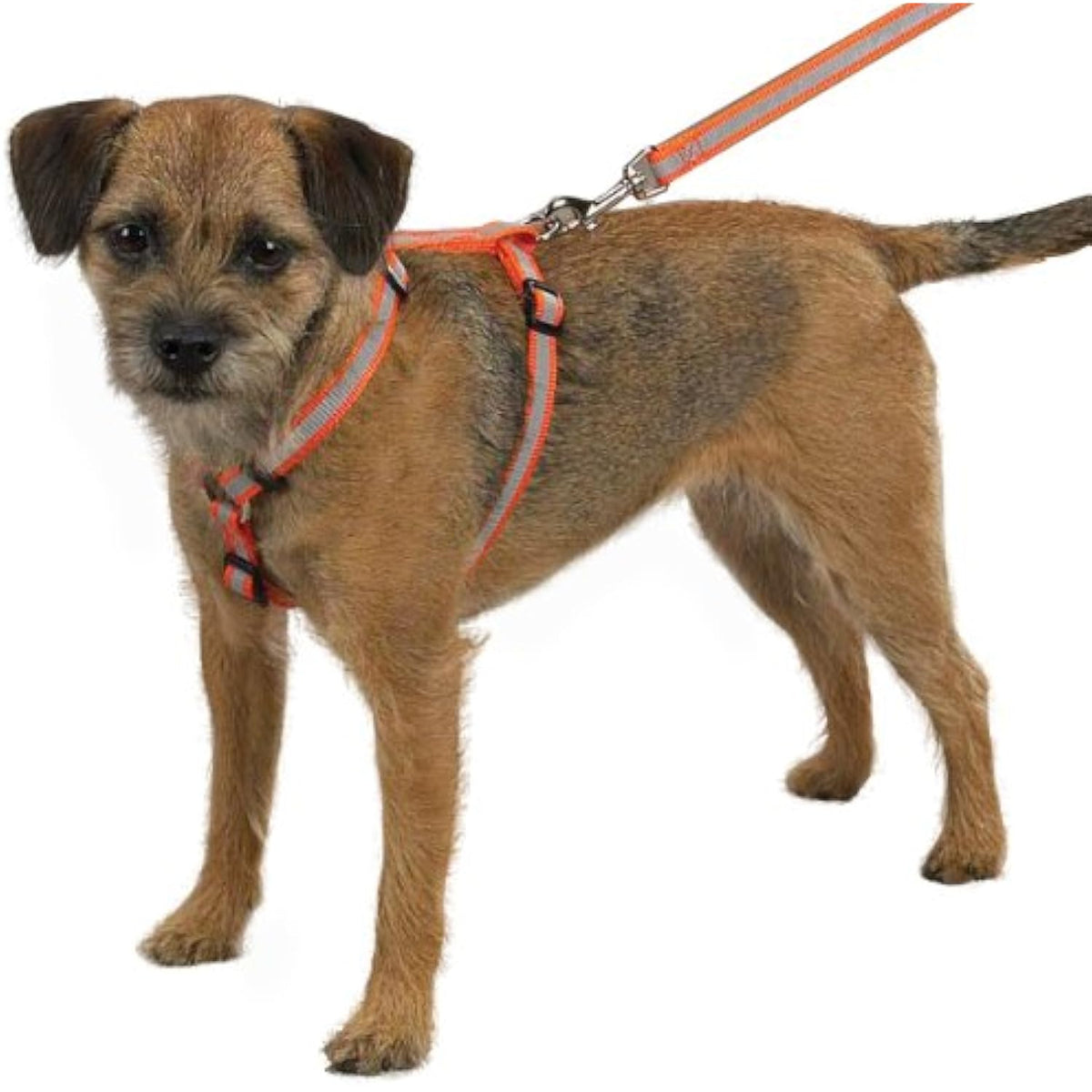 Guardian Gear Nylon Reflective Dog Harness, 14-20-Inch, Orange - The Hungry Bookworm & Speedmerchant65