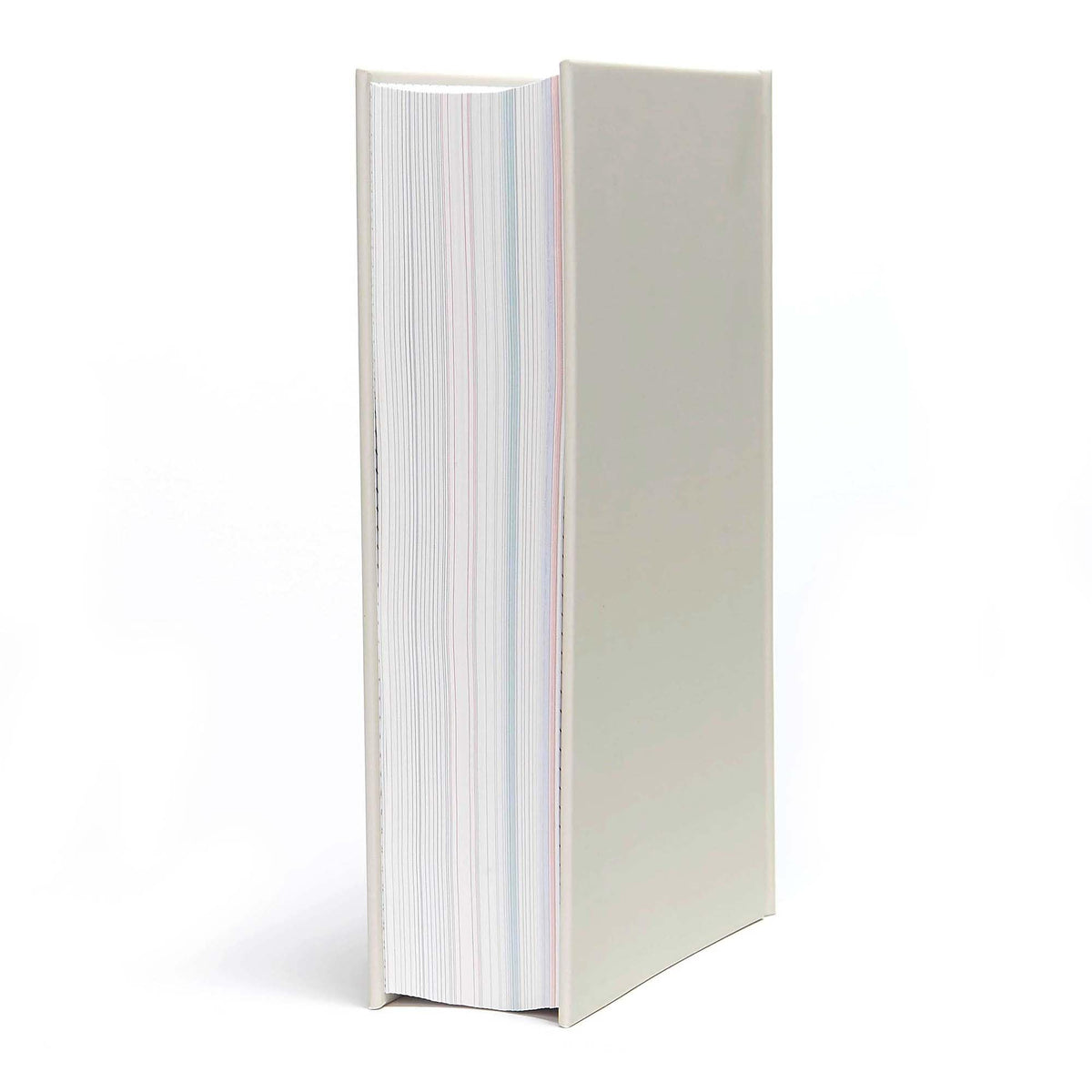 CSB She Reads Truth Bible, Hardcover, Black Letter, Full-Color Design, Wide - The Hungry Bookworm & Speedmerchant65