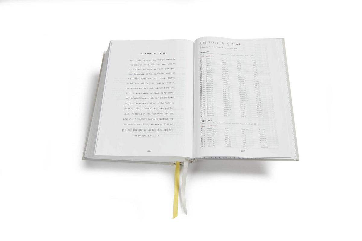 CSB She Reads Truth Bible, Hardcover, Black Letter, Full-Color Design, Wide - The Hungry Bookworm & Speedmerchant65
