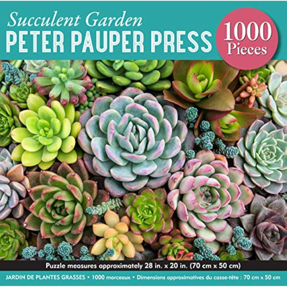 Succulent Garden 1000 Piece Jigsaw Puzzle - The Hungry Bookworm & Speedmerchant65