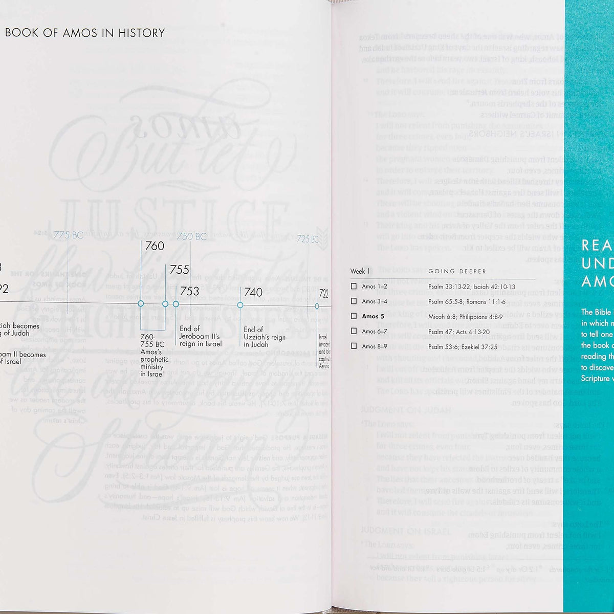 CSB She Reads Truth Bible, Hardcover, Black Letter, Full-Color Design, Wide - The Hungry Bookworm & Speedmerchant65