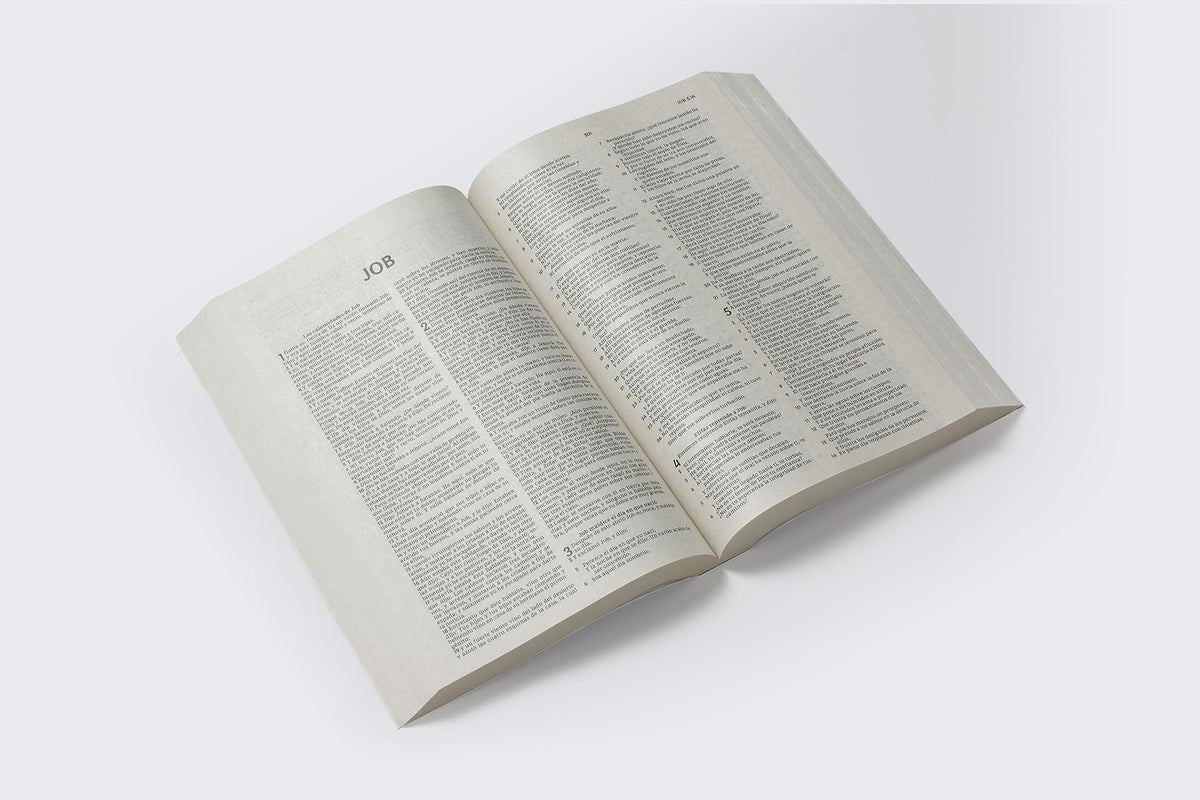 RVR, Santa Biblia, Edición económica, Tapa rústica (Spanish Edition) - The Hungry Bookworm & Speedmerchant65