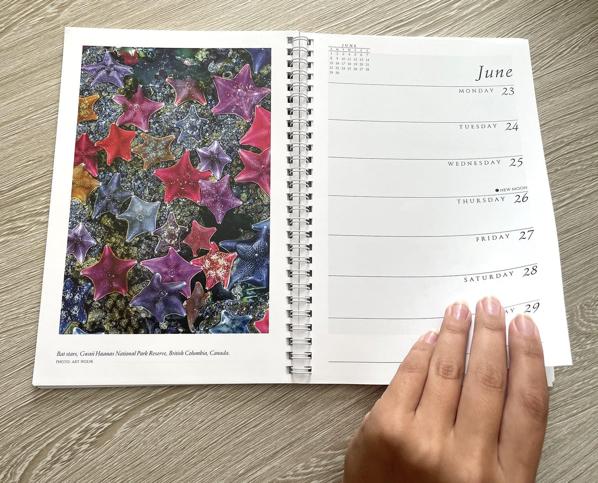 Sierra Club Engagement Calendar 2025 - The Hungry Bookworm & Speedmerchant65