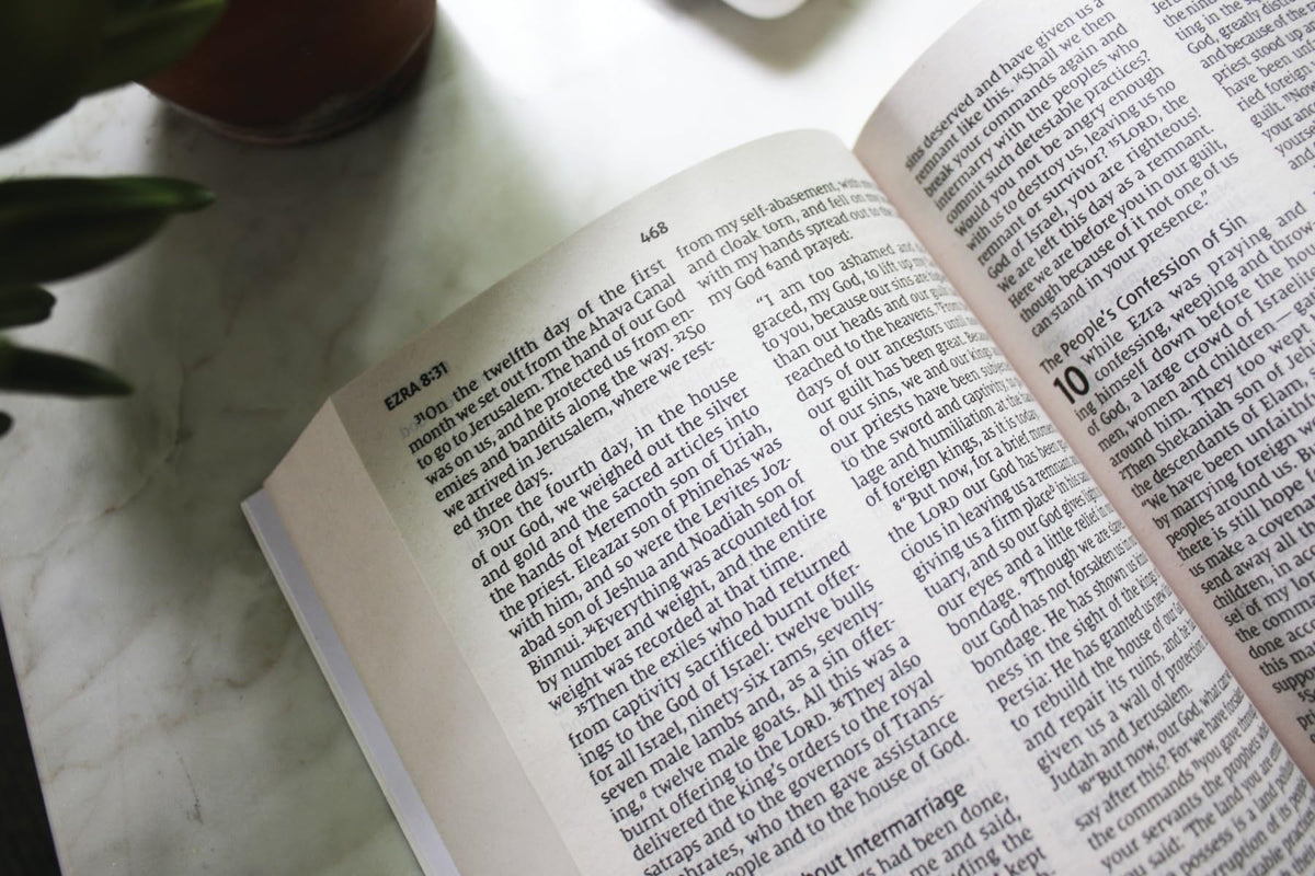 NIV, Holy Bible, Larger Print, Economy Edition, Paperback, Blue, Comfort Print