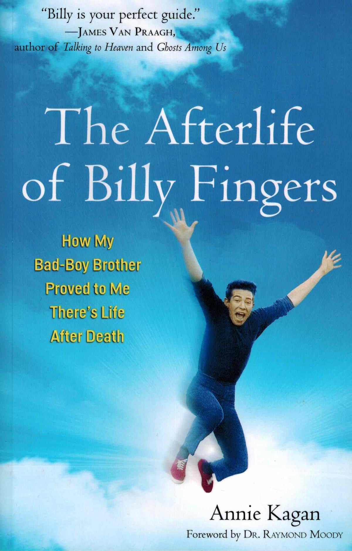 The Afterlife of Billy Fingers: How My Bad-Boy Brother Proved to Me There's Life - The Hungry Bookworm & Speedmerchant65