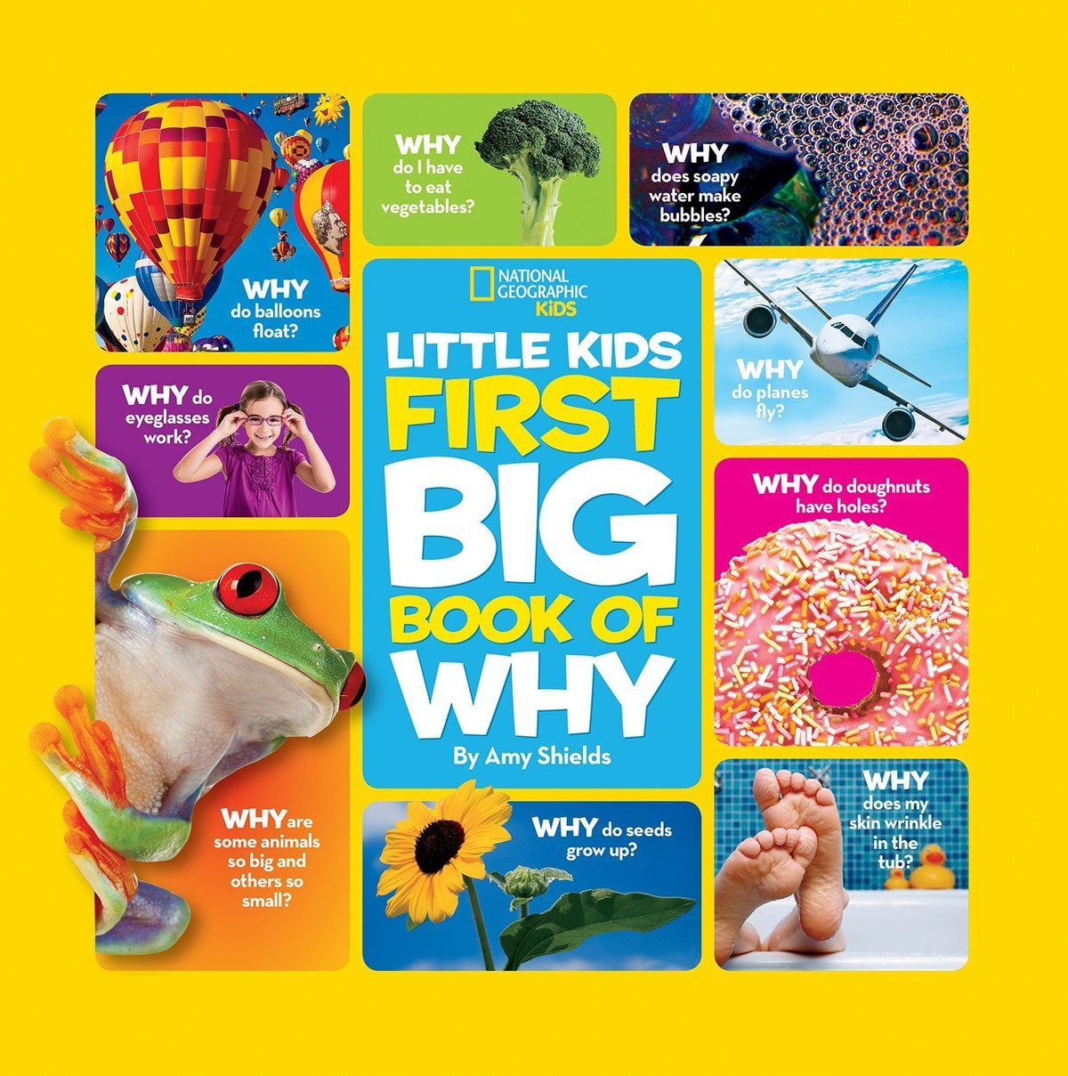 National Geographic Little Kids First Big Book of Why (National Geographic - The Hungry Bookworm & Speedmerchant65