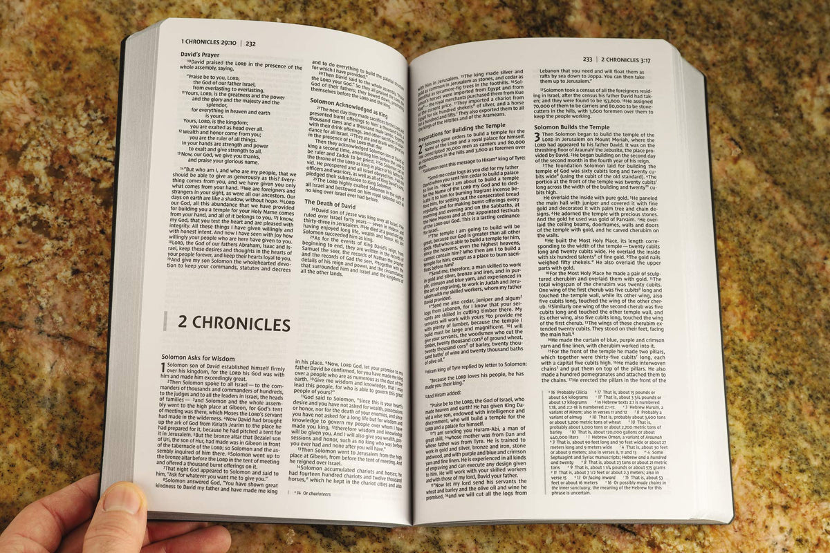 NIV, Holy Bible, Soft Touch Edition, Leathersoft, Black, Comfort Print - The Hungry Bookworm & Speedmerchant65