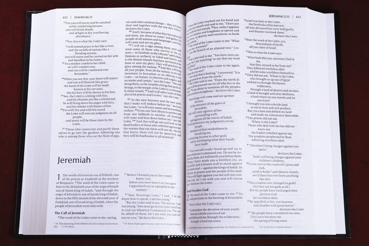 NIV, Value Pew and Worship Bible, Hardcover, Black - The Hungry Bookworm & Speedmerchant65