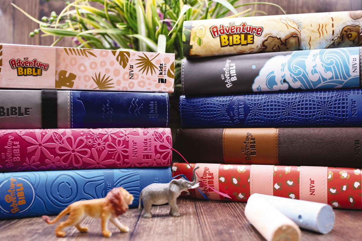NIV, Adventure Bible, Hardcover, Full Color - The Hungry Bookworm & Speedmerchant65