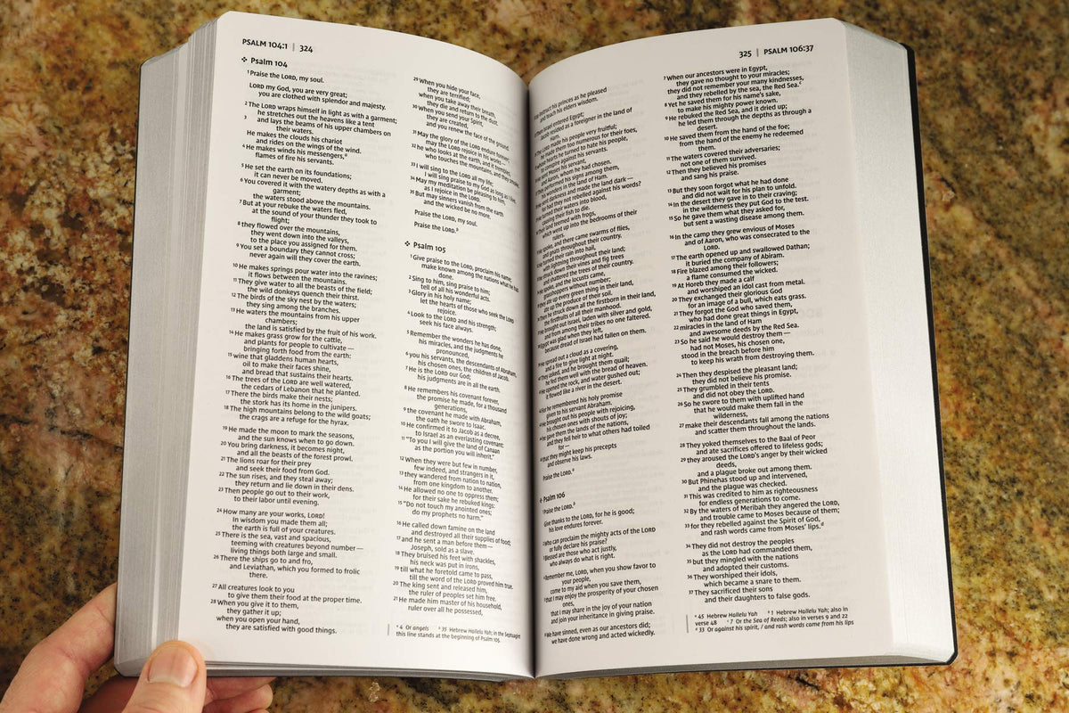 NIV, Holy Bible, Soft Touch Edition, Leathersoft, Black, Comfort Print - The Hungry Bookworm & Speedmerchant65
