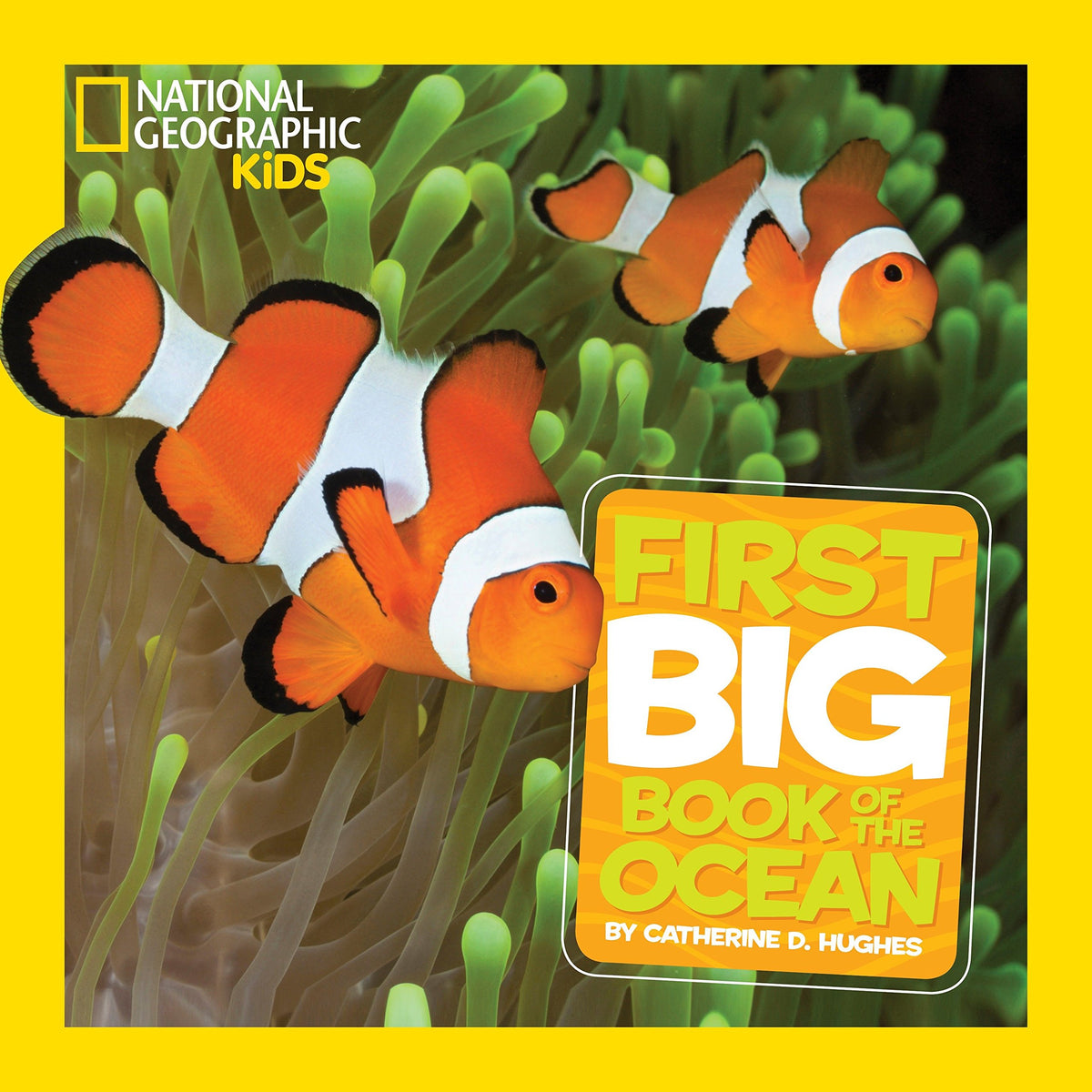 National Geographic Little Kids First Big Book of the Ocean (National Geographic - The Hungry Bookworm & Speedmerchant65