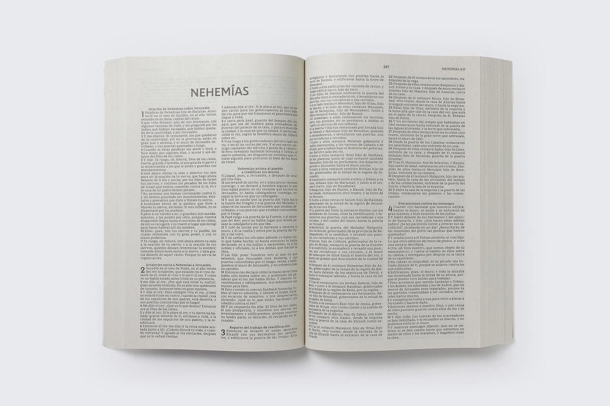 RVR, Santa Biblia, Edición económica, Tapa rústica (Spanish Edition) - The Hungry Bookworm & Speedmerchant65