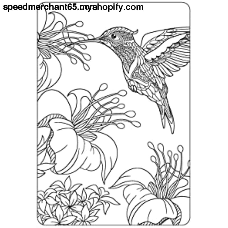 Anxiety Relief Coloring Book for Adults: Mindfulness