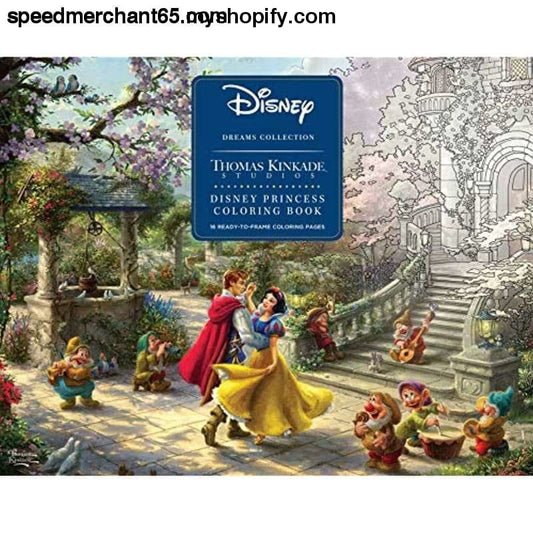 Disney Dreams Collection Thomas Kinkade Studios Princess
