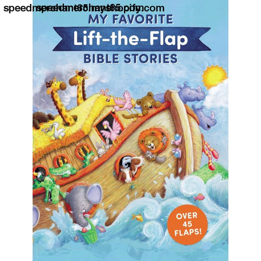 My Favorite Lift-the-Flap Bible Stories - Clothing Shoes &