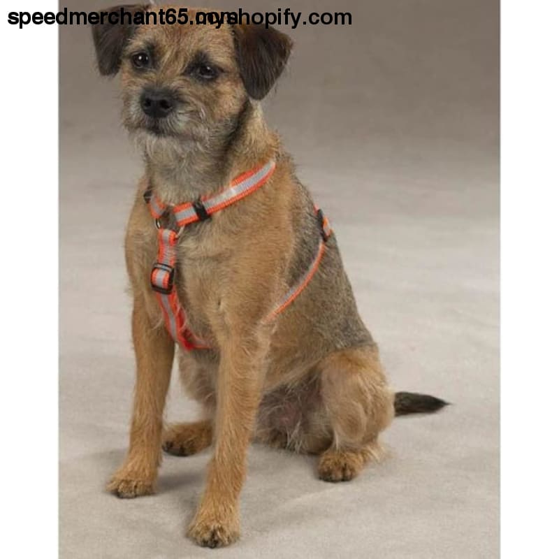 Guardian Gear Nylon Reflective Dog Harness 14-20-Inch Orange