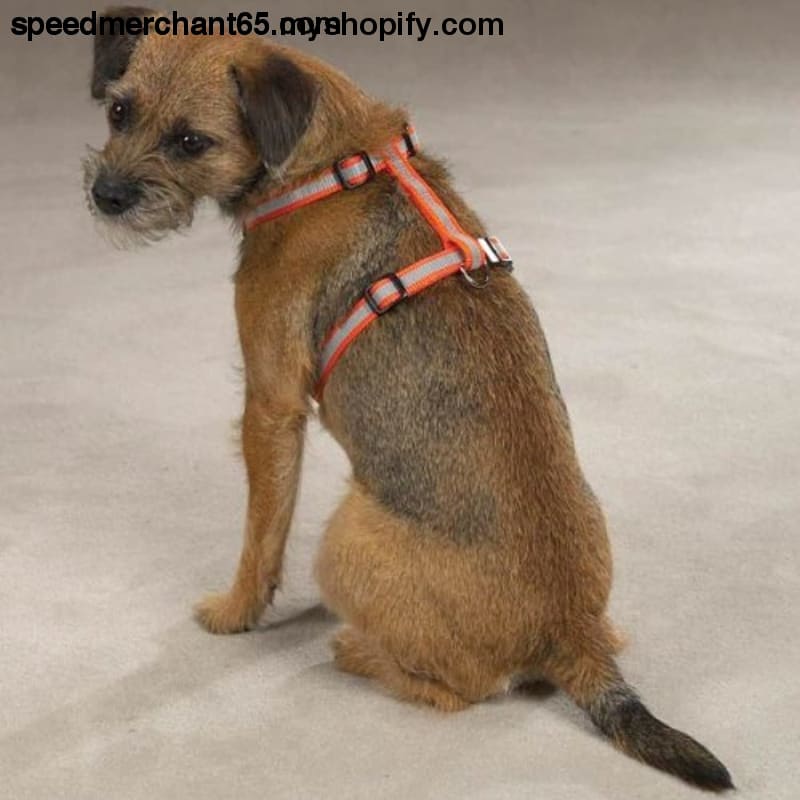 Guardian Gear Nylon Reflective Dog Harness 14-20-Inch Orange