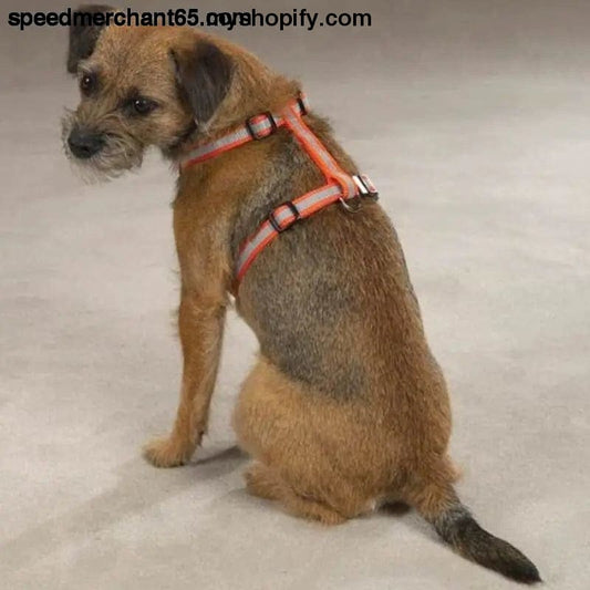 Guardian Gear Nylon Reflective Dog Harness 8-14-Inch Orange