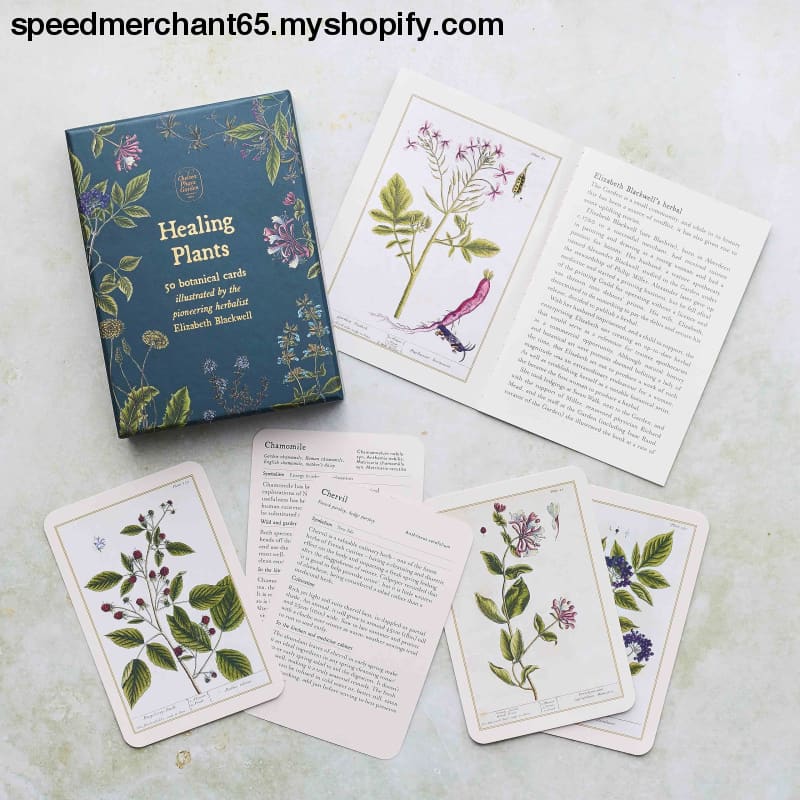 Healing Plants: 50 botanical cards illustrated