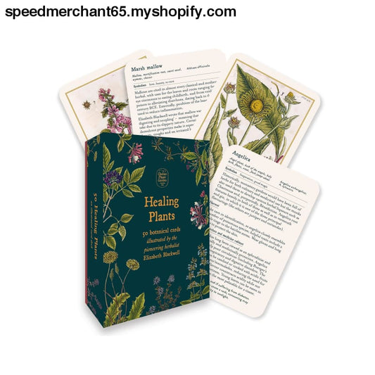 Healing Plants: 50 botanical cards illustrated