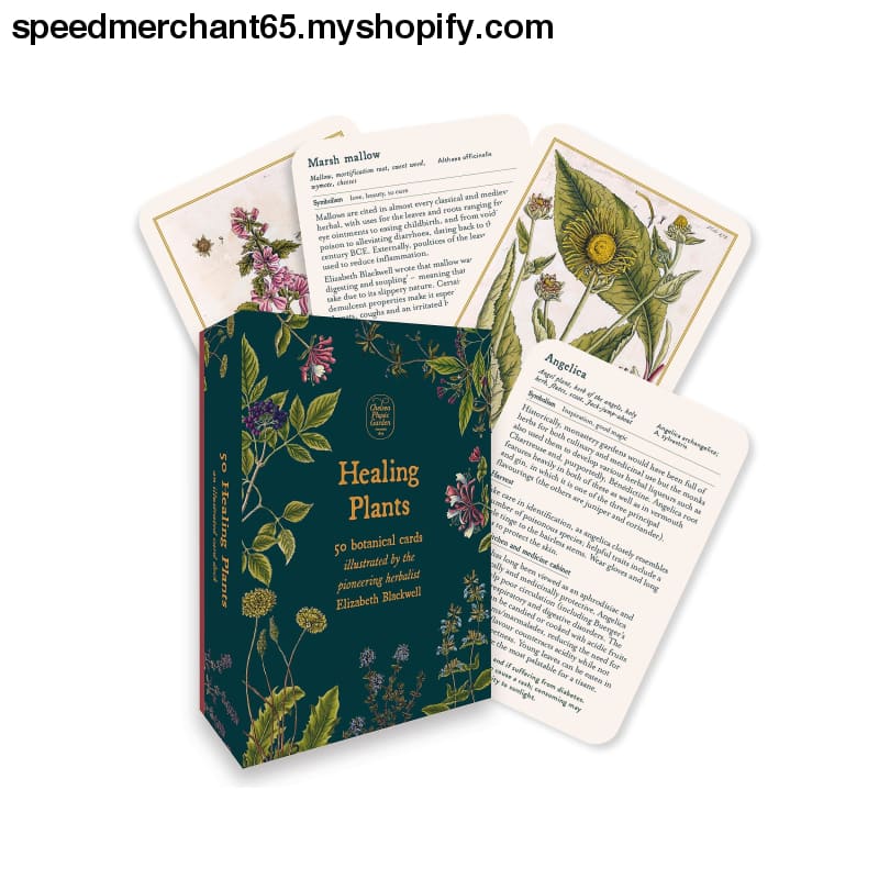 Healing Plants: 50 botanical cards illustrated