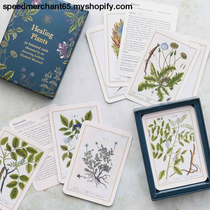 Healing Plants: 50 botanical cards illustrated